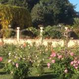 Panoramica sul giardino delle rose. Sul fondo � ben visibile la cascata dorata della bignonia gialla che riveste l'emiciclo